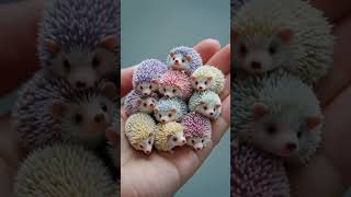 Cute Mini Hedgehogs Collection 🦔✨ #hedgehog#CuteAnimals #MiniHedgehogs #AestheticPets #ViralReels