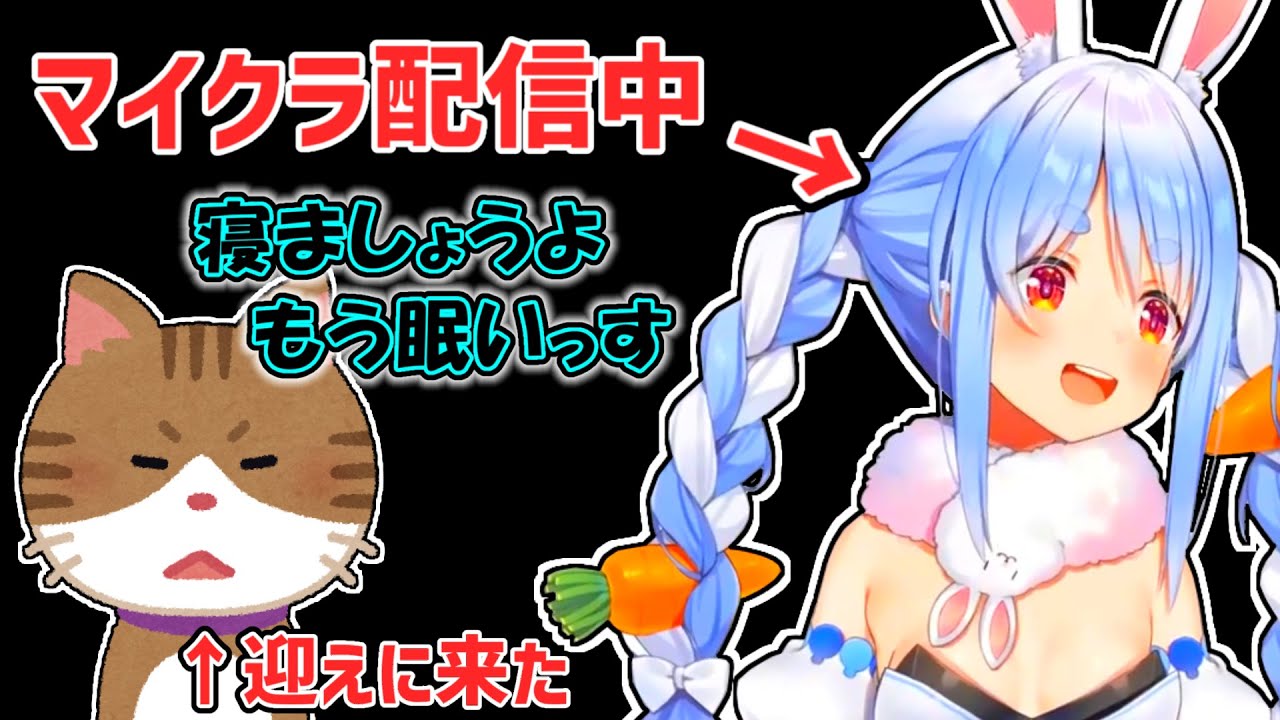【兎田ぺこら】深夜まで配信していると猫が迎えに来るぺこら【ホロライブ切り抜き】