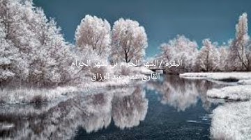 البقرة /الشهر الحرام بل لشهر الحرام /القارئ عماد عبد الرزاق