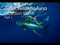 Spearfishing Ascension Island - HUGE Yellowfin Tuna - PART 1 HD