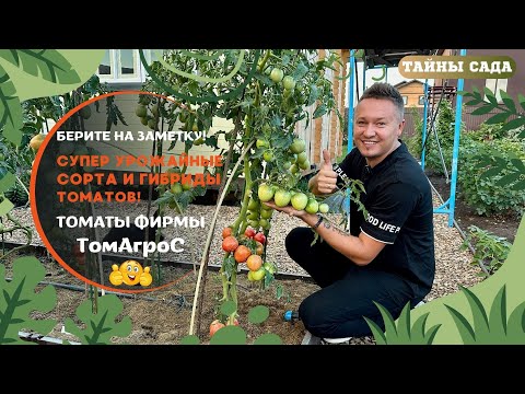 Я В ВОСТОРГЕ!