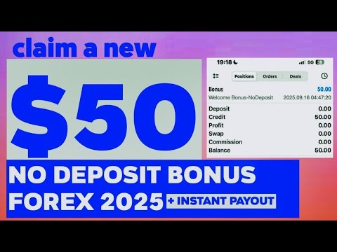 Understanding the Stake No Deposit Bonus Concept
