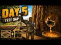Ark Ascended: Island · Day 5 · Liquid Gold