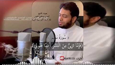 فناداها من تحتها ألا تحزني قد جعل ربُك تحتكِ سرياً  بصوت القارئ أحمد النفيس