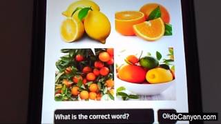 4 Pics 1 word HTML screenshot 2