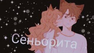 Сеньорита {AMV} (совместно с Yulia Larchenko) Сеньорита {AMV} (совместно с Yulia Larchenko)