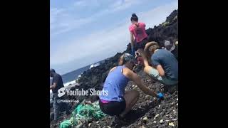 Beach Cleanup Timelapse - South Point, Hawai'i