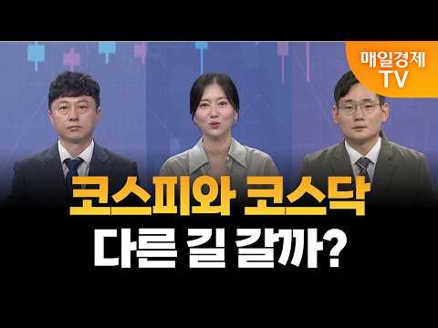 [마켓 진단] 엇갈리는 반도체 투심, 대응은?/ 오현진 루체인베스트 팀장,  이성웅 다올투자증권 차장