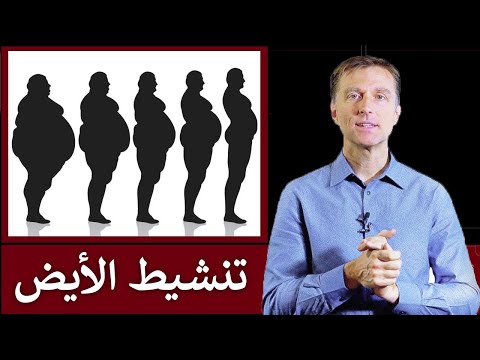 فيديو: كيفية تسريع العملية