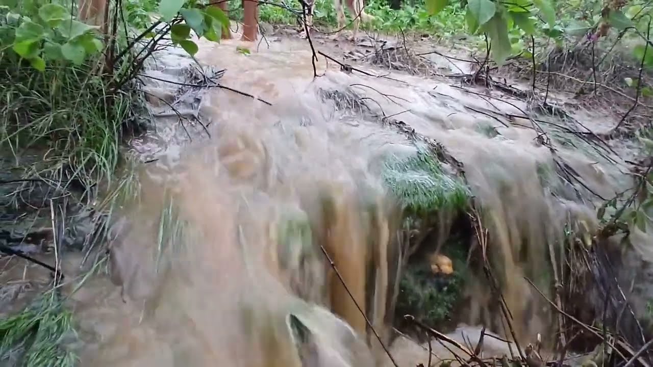 Chuva no sertão nordestino 
