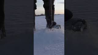 #winter #ice #icefishing