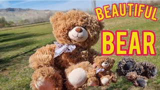 We made the beautiful bear in the worst possible way.asmr asmr