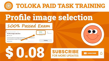 Profile image selection Training. 0.08 Per Task. 100% Passed