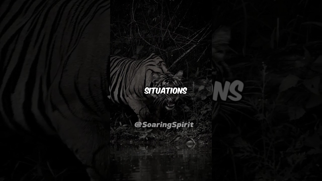 Life Lessons from Tiger: Your Guide to Wisdom