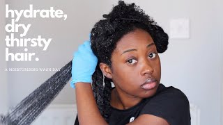 How I hydrate and revive my extremely DRY natural hair - Super Moisturising Wash Day