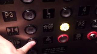 Schindler 400A Traction Elevators at San Luis Condominium in Galveston, TX. Net Worth
