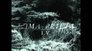 Loma Prieta - Diamond Toot