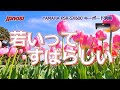 「若いってすばらしい」 槇みちる  YAMAHA PSR-SX600  Japanese popular song "Waka i tte subarasii"