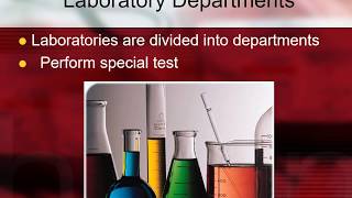 Major Departments in Phlebotomy.