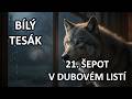 🐺 BÍLÝ TESÁK (21. díl): ŠEPOT V DUBOVÉM LISTÍ | Otrávený dar a zkouška loajality 🌫️🧪