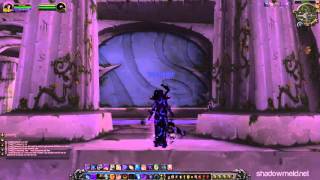 Shadowpriest Voidform