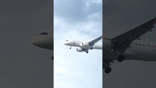 This Special Livery TAP A321 Landing at Heathrow is Stunning! 🇵🇹 #shorts #aviation #airbus #portugal