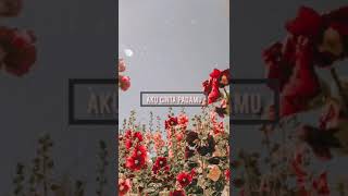 Download Lagu Aku Cinta Padamu - Siti Nurhaliza (Short Cover by BANIE) MP3