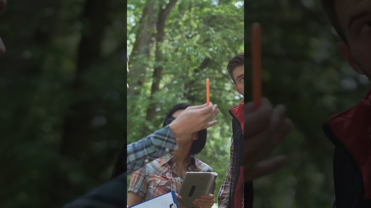 The understanding of silviculture 