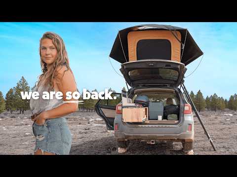 Solo Winter Car Camping in the Desert thumbnail
