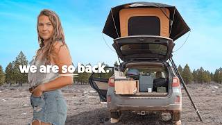 Solo Winter Car Camping in the Desert