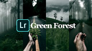 Forest Green tone edit on Lightroom Mobile (แต่งรูปโทนป่า บน Lightroom Mobile) #lightroom screenshot 5