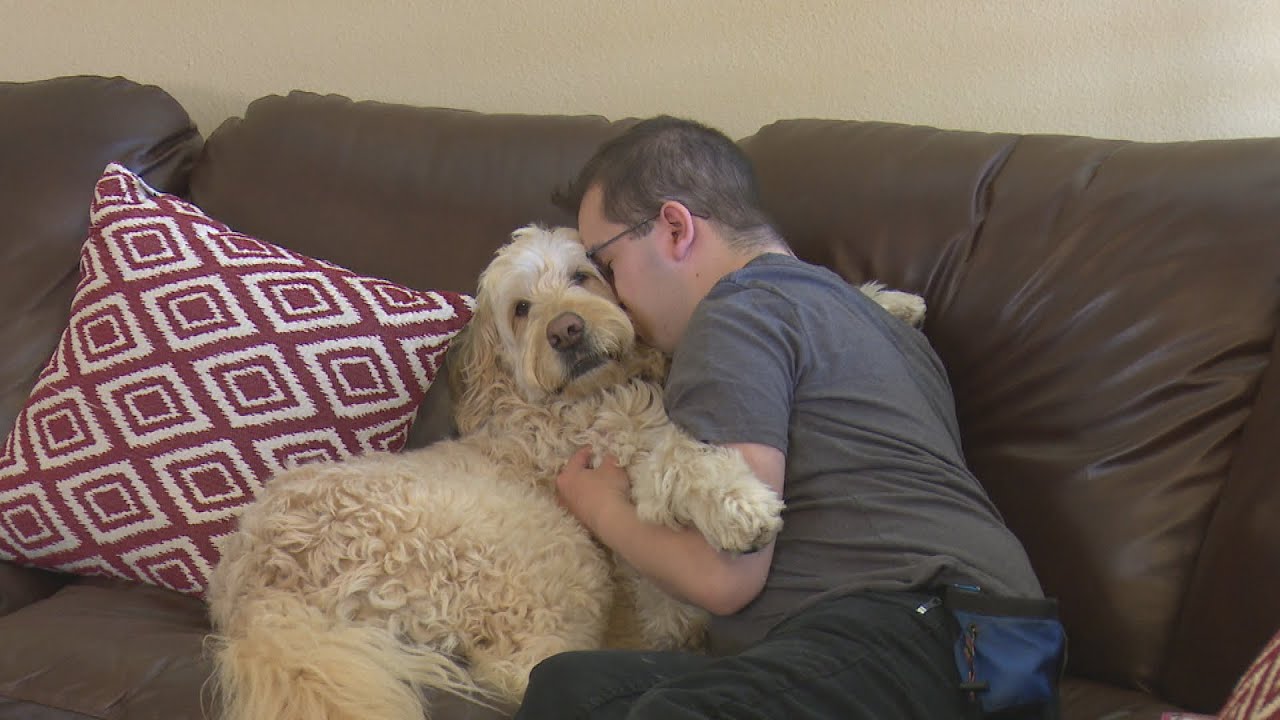physical education Man's Service Dog Has Saved His Life Several Times
