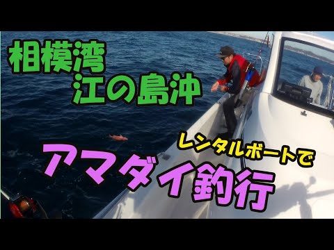 釣りBOO～(つりぶ～） 神奈川釣り日記 釣行メンバー募集中！！！ - YouTube