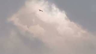 Paani Ke Qatray ALLAH Ke Hukum Se (12:55pm)