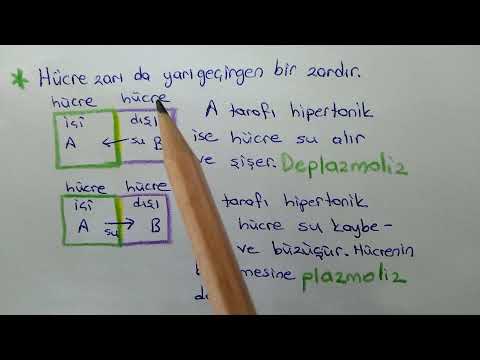 Video: Aquasana ters ozmoz mu?