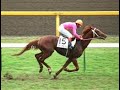 中央競馬年鑑　1992　年度代表馬　ミホノブルボン