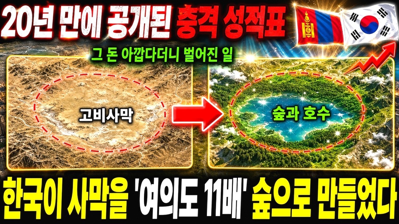 20년 만에 공개된 성적표 — 한국이 몽골 사막을 '여의도 11배' 숲으로 바꿔놨다