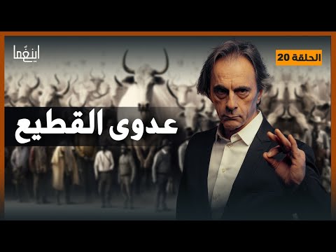عدوى القطيع اليد الخفية المتحكمة بأفكارك وقراراتك د مأمون علواني برنامج إينغما