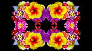 flower kaleido demo