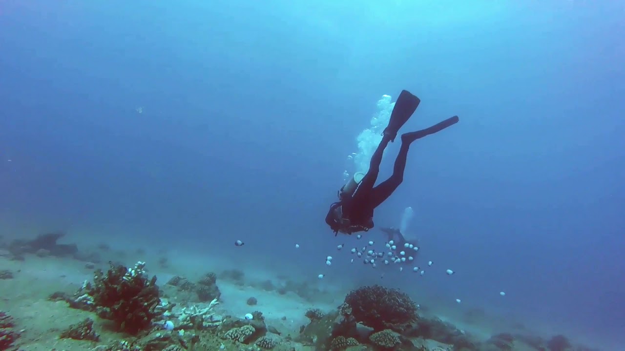 DIving Kauai Hawaii YouTube