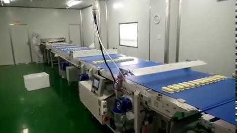 Toast sliced bread  Automatic food process and packaging system for swiss roll and layer cake