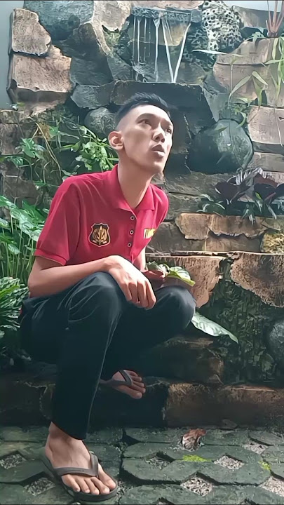 Viral !!! Masteran Burung Gokil lucu kocak 🤣 #suaraburung #birds #masteranburung #funny #comedy