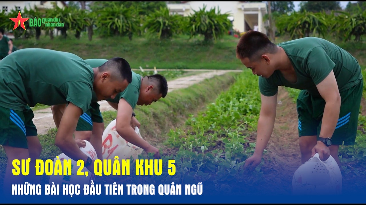 Sư đoàn 2, Quân khu 5: Những bài học đầu tiên trong quân ngũ