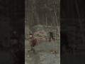 Cannibal kill of the week? #gamingshorts #sonsoftheforest #shorts #funny #survival