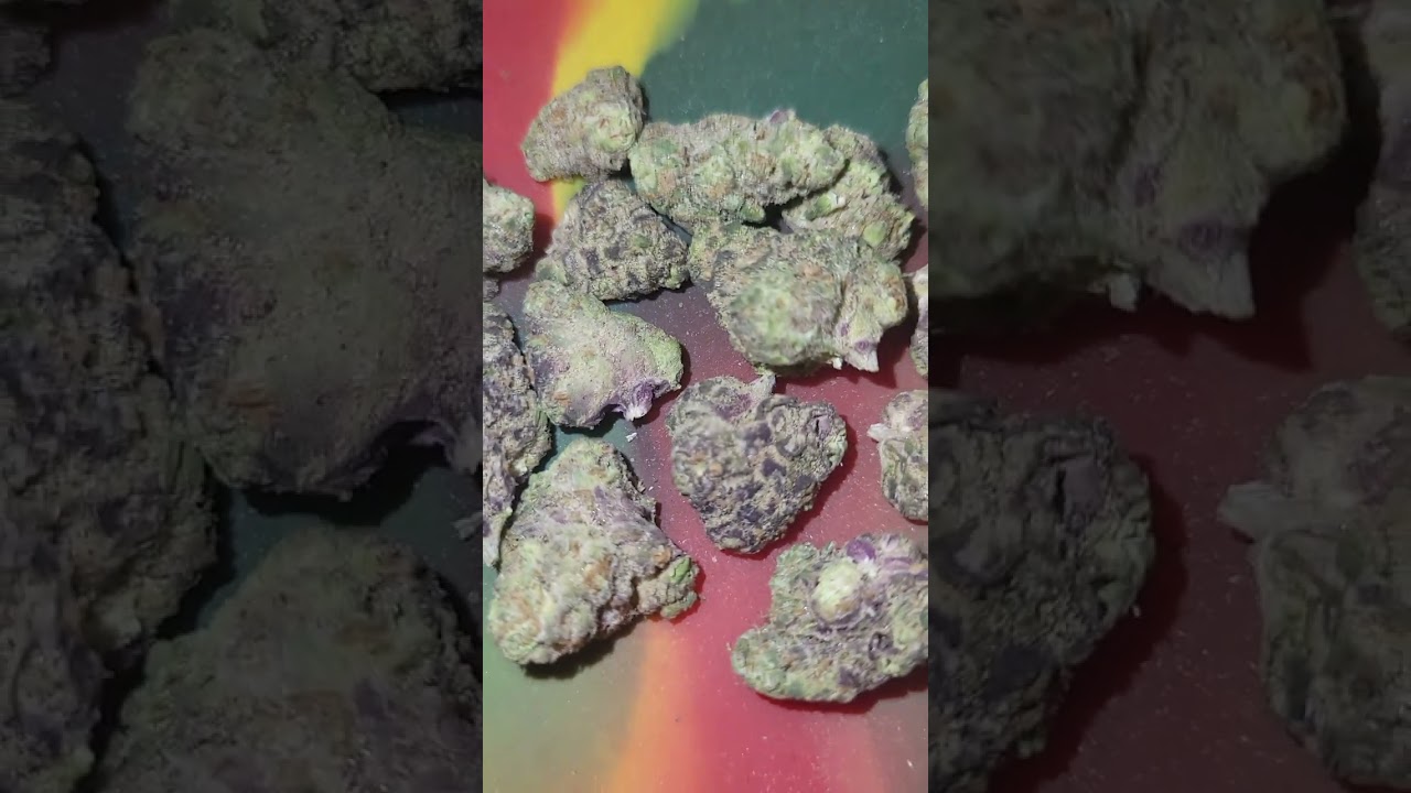 Animal Mint Cake strain