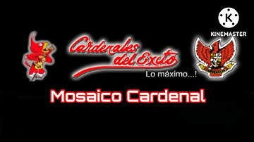 Mosaico Cardenal - Cardenales del Éxito