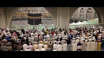 ﴿ هُنَالِكَ دَعَا زَكَرِيَّا رَبَّهُ ۖ ﴾[📖/ آل عمران: 38]٠ألقارئ_ألشيخ/ماهر ألمعيقلي٠🤍🖤🕊
