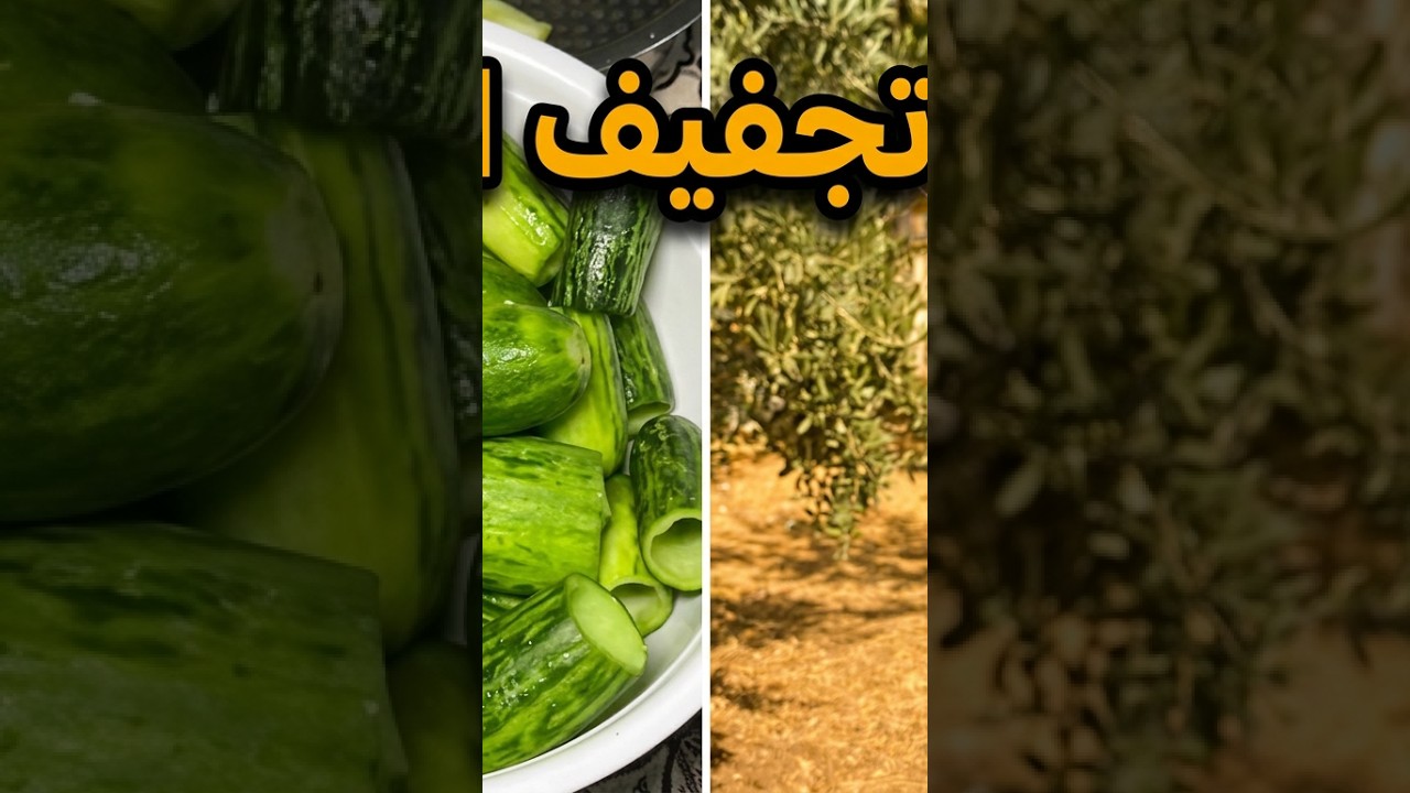 طريقة تجفيف العجور #yemektarifleri #tarif #food #recipe #tastyfood  #ytshorts #وصفات #طبخ #مخلل