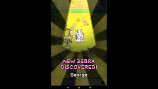 Zebra Evolution - Clicker Game - HD Android Gameplay - Child games - Full HD Video (1080p) screenshot 4
