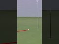 Absolute beauty 🤌